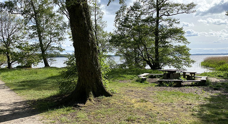 Rastplats vid Ringsjön.