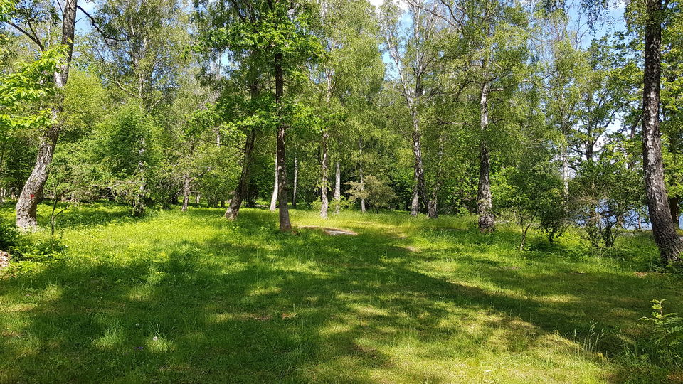 Södergarnsängen. Foto Lidingö stad