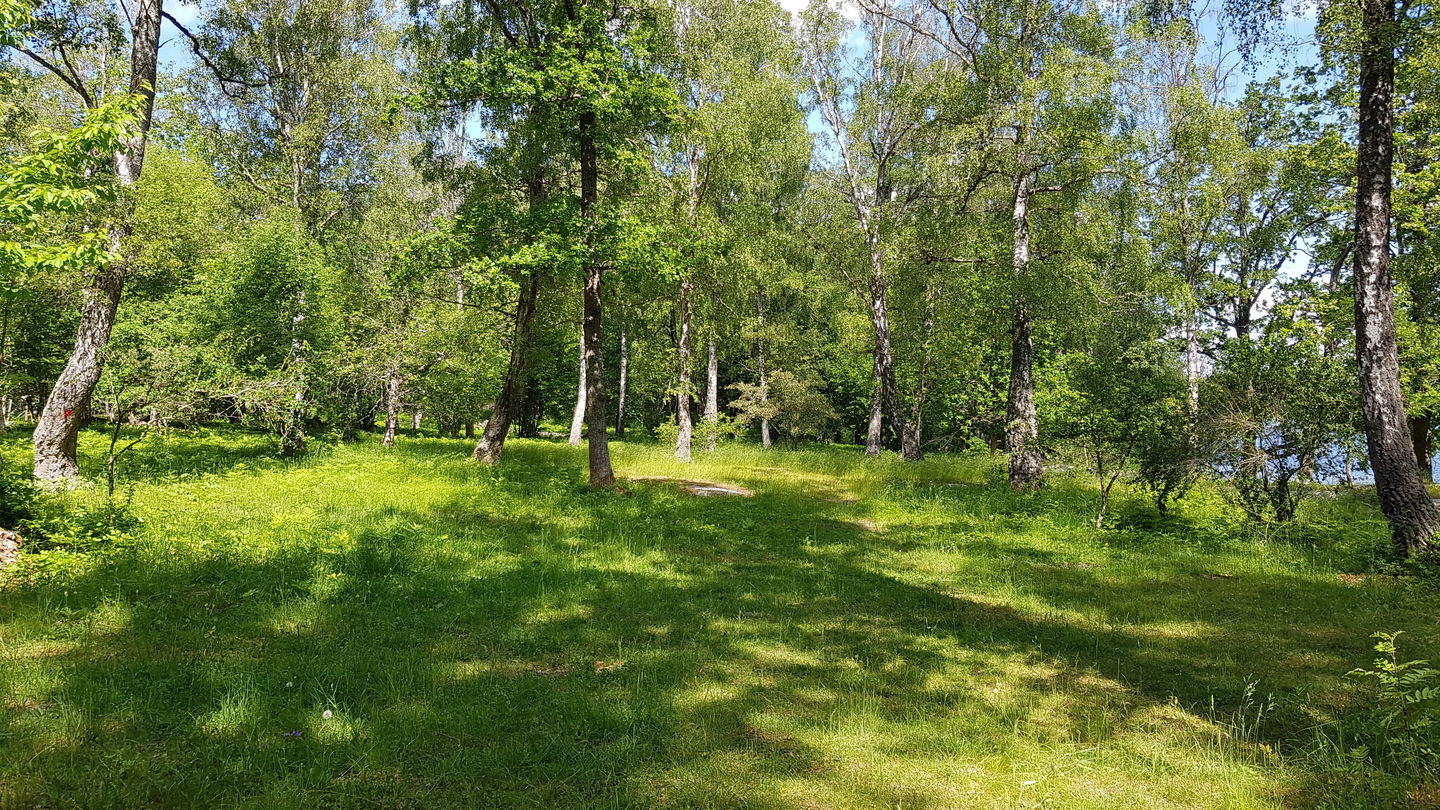 Södergarnsängen. Foto Lidingö stad