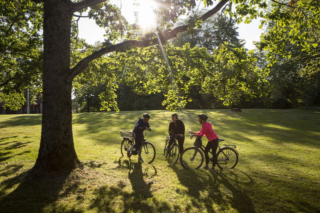 Busstransport med cykel