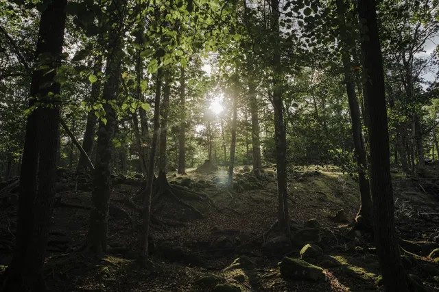 Stora Glosebo Hjortgård
