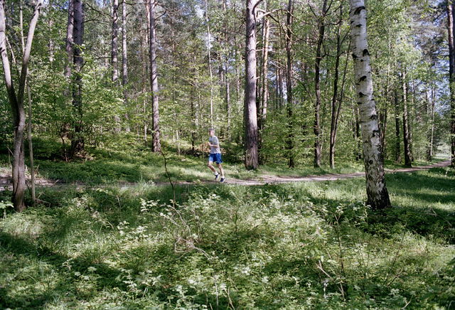 Vrinnevis elljusspår