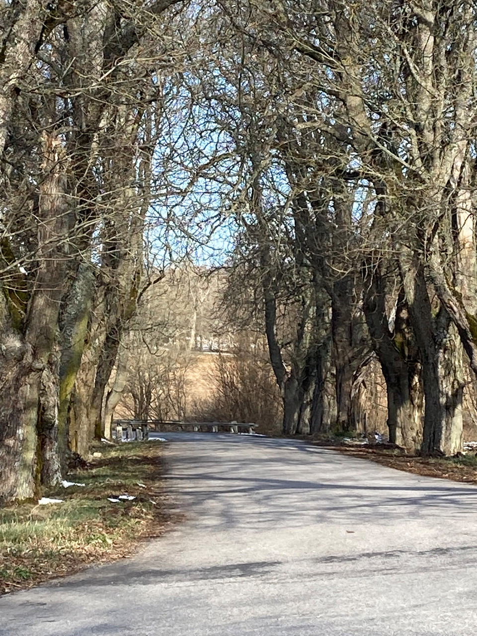 Vackra vyer längs en resa i tiden 