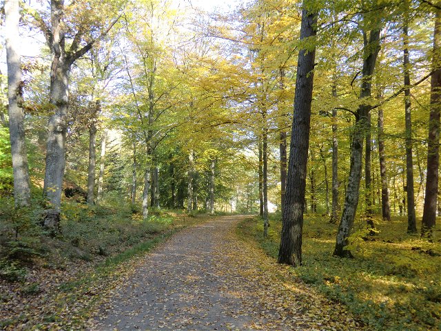 Wanderweg Ekenäs - Brunnsskogen