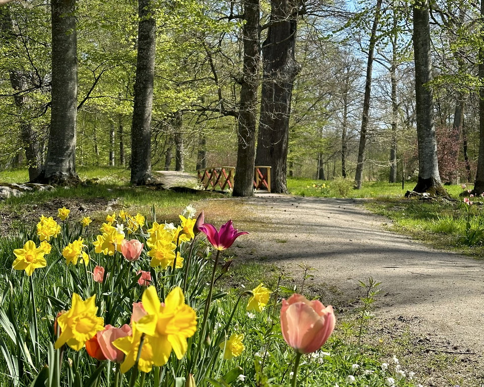 Engelska parken Värnanäs