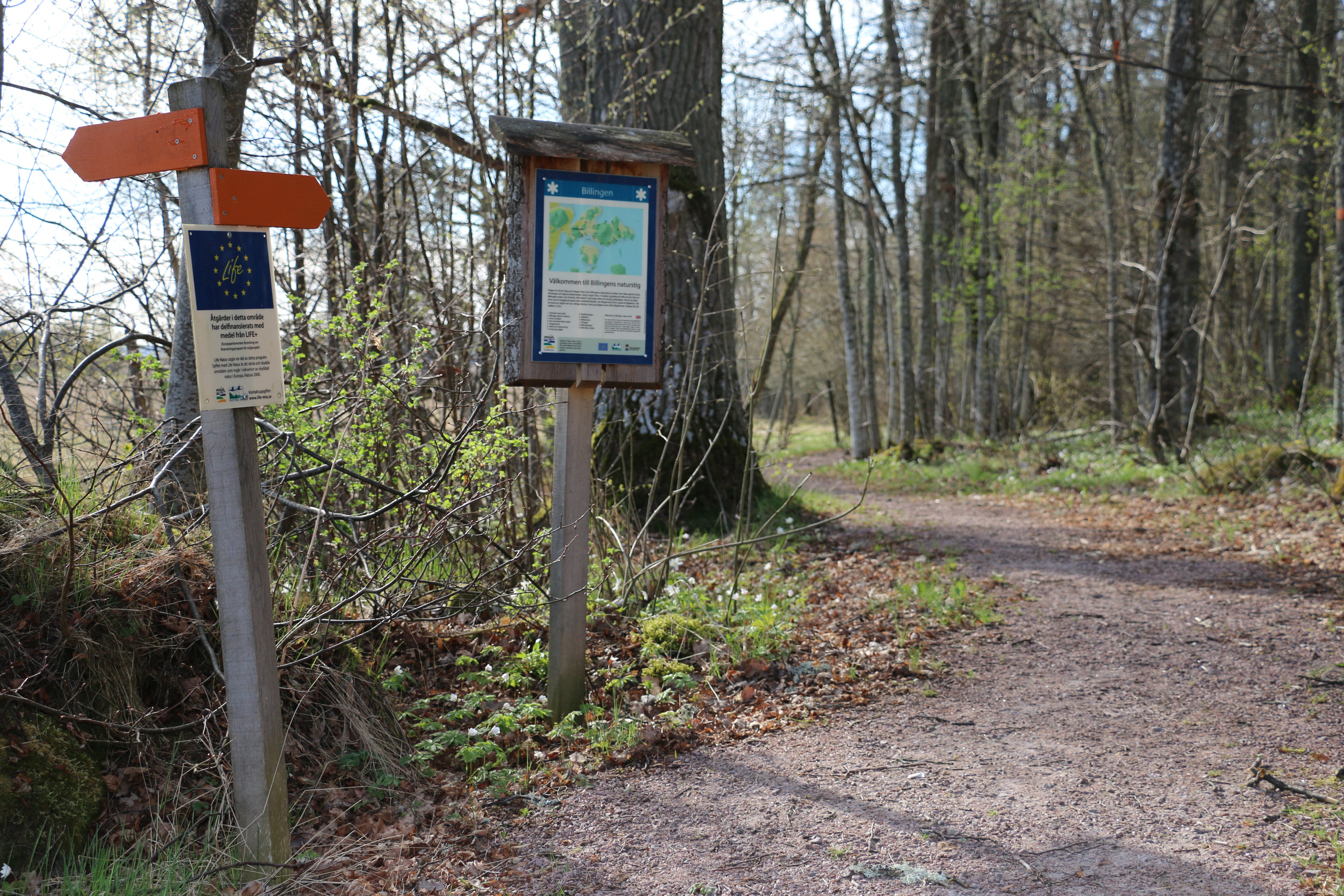 Två orange pilar på stolpe visar vägen. Informationstavla över naturreservatet.