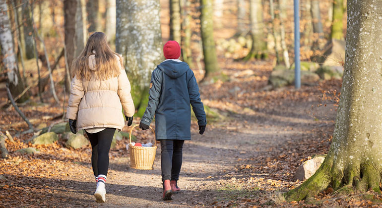 Motionsspår i Hjärnarps prästaskog.