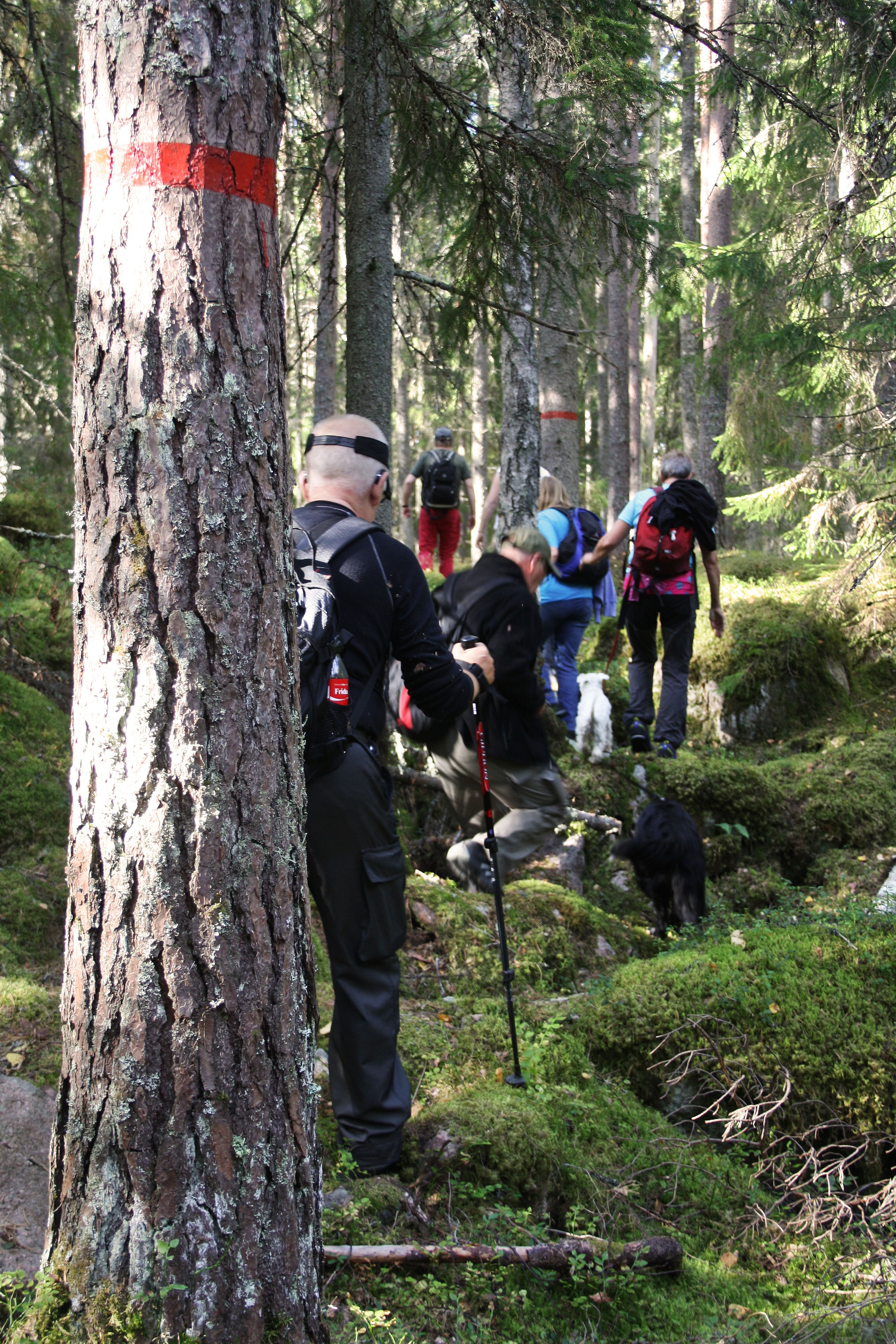 2. Pansaruddenslingan 4,5 km