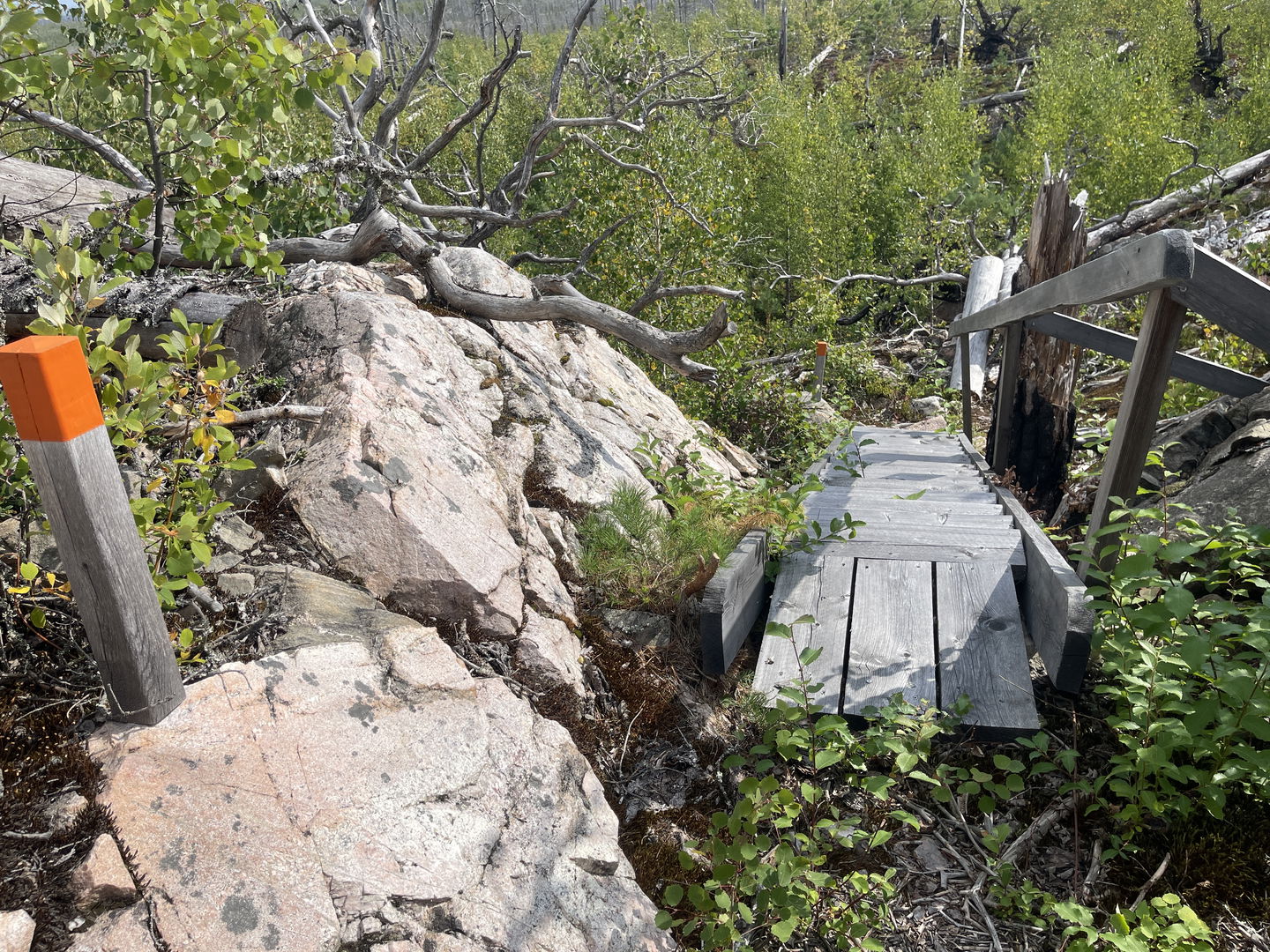 Ledmarkering vid en trätrappa.