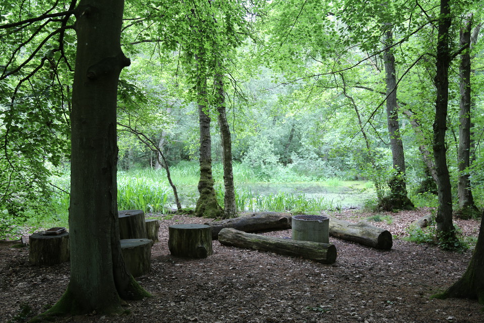Grillplats i södra delen av naturreservatet