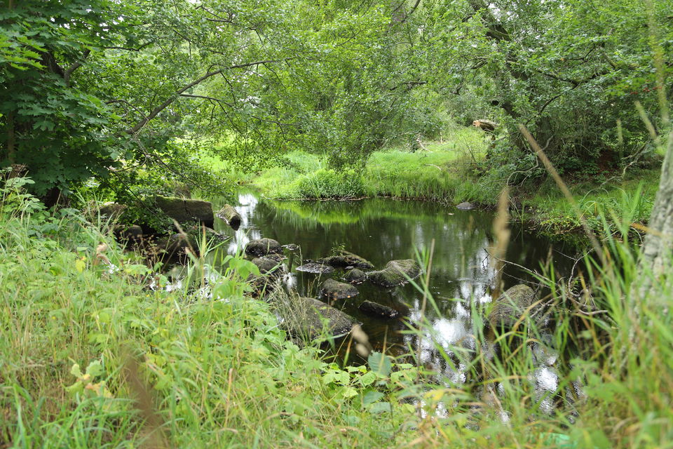 Hagbyån