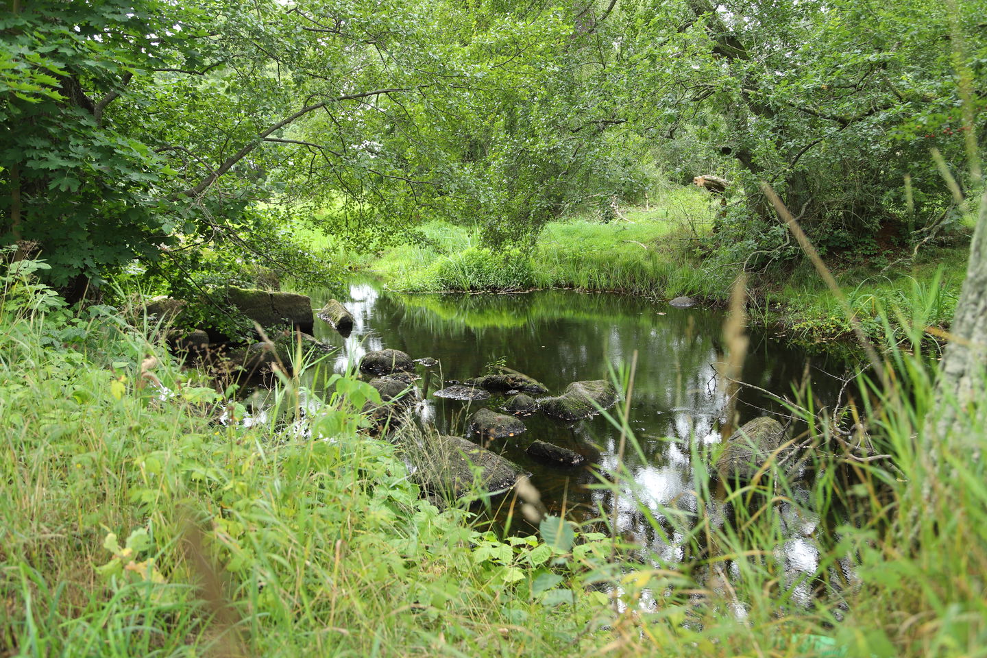 Hagbyån