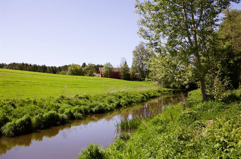 Pedal boats and canoes in the Mysen river