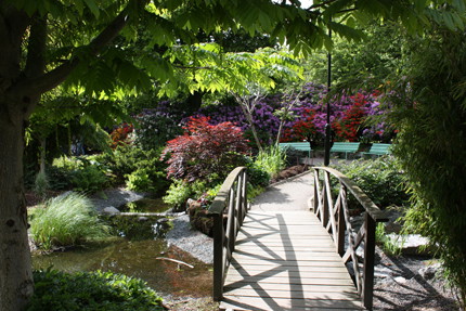 Lena Hammarbäck Stadsparken