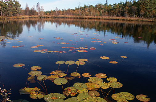 Fiska i Långsjön, Paradiset