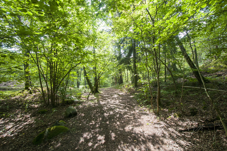 Foto: Johan Pontén