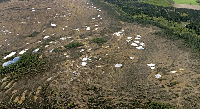 Skagershultsmossen, Naturreservat