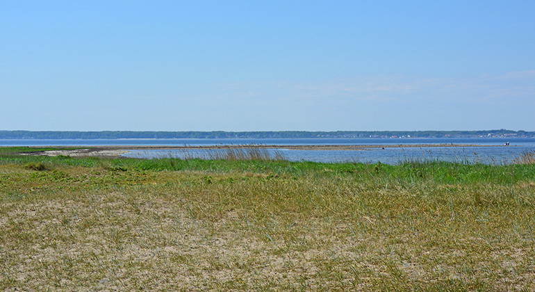 Grollegrund sett från stranden.