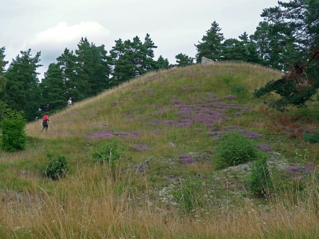 Nordians hög i Fysingens naturreservat. 