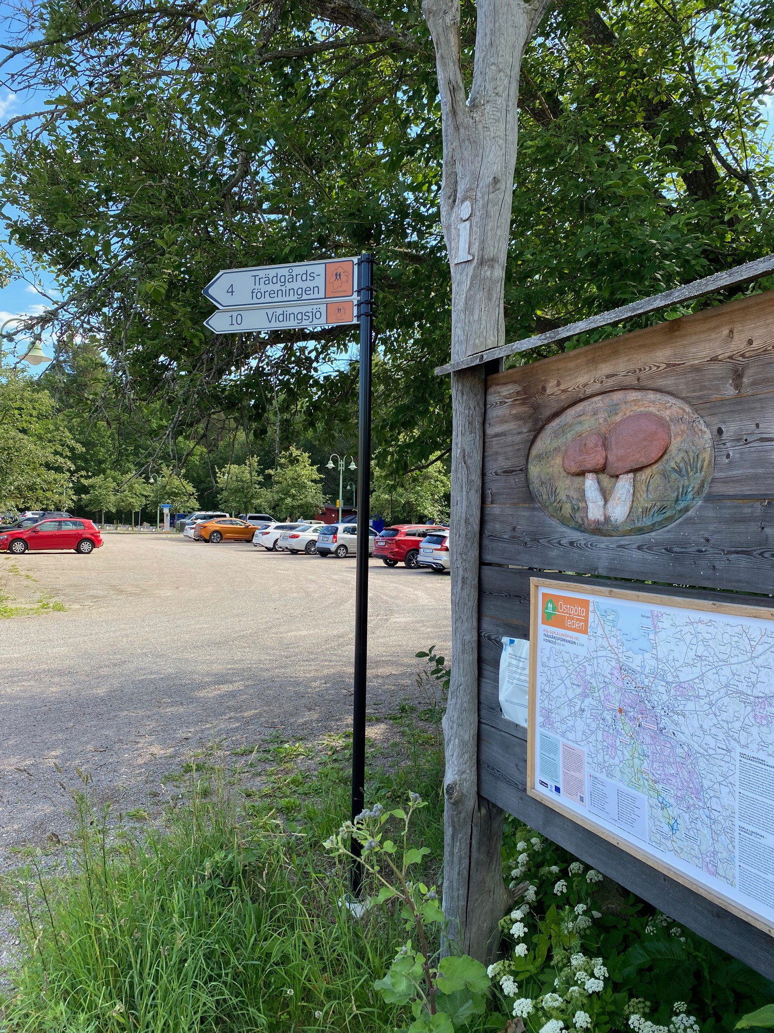 Startplatsen för etappen i Gamla Linköping.
