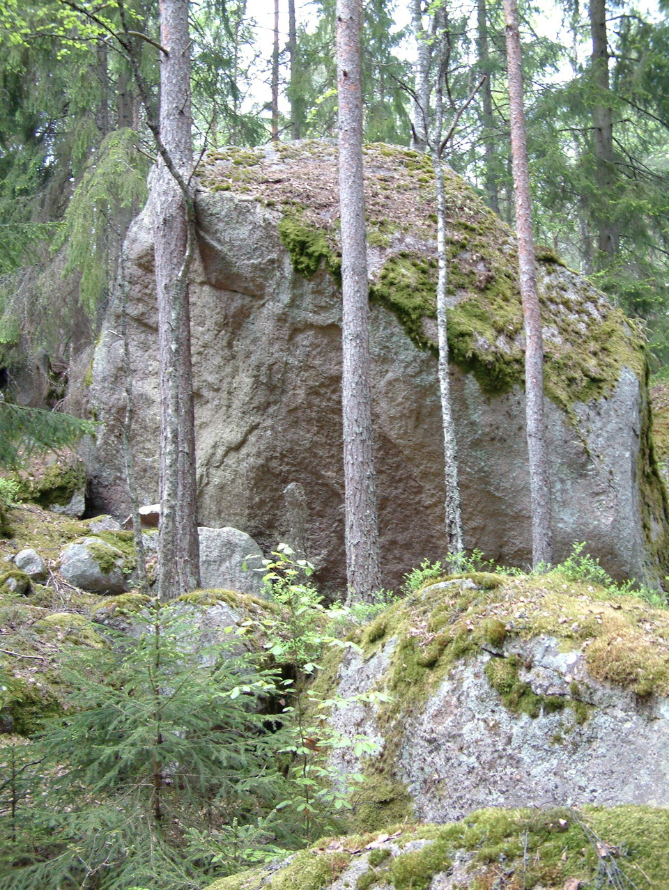 Jätteblock av röd Växjögranit i ”Grimmansmåla mo”. Sådan granit utvanns tidigare i trakten, först i s.k. blocksten (som detta block), senare i fast berg (G. Knutsson 2008).