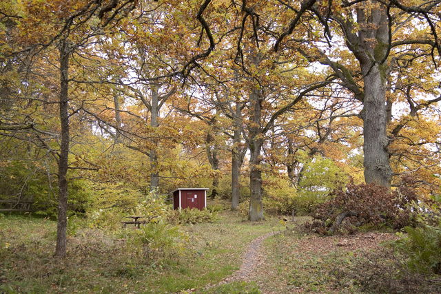 Toalett Vreta udd, Hammarskog