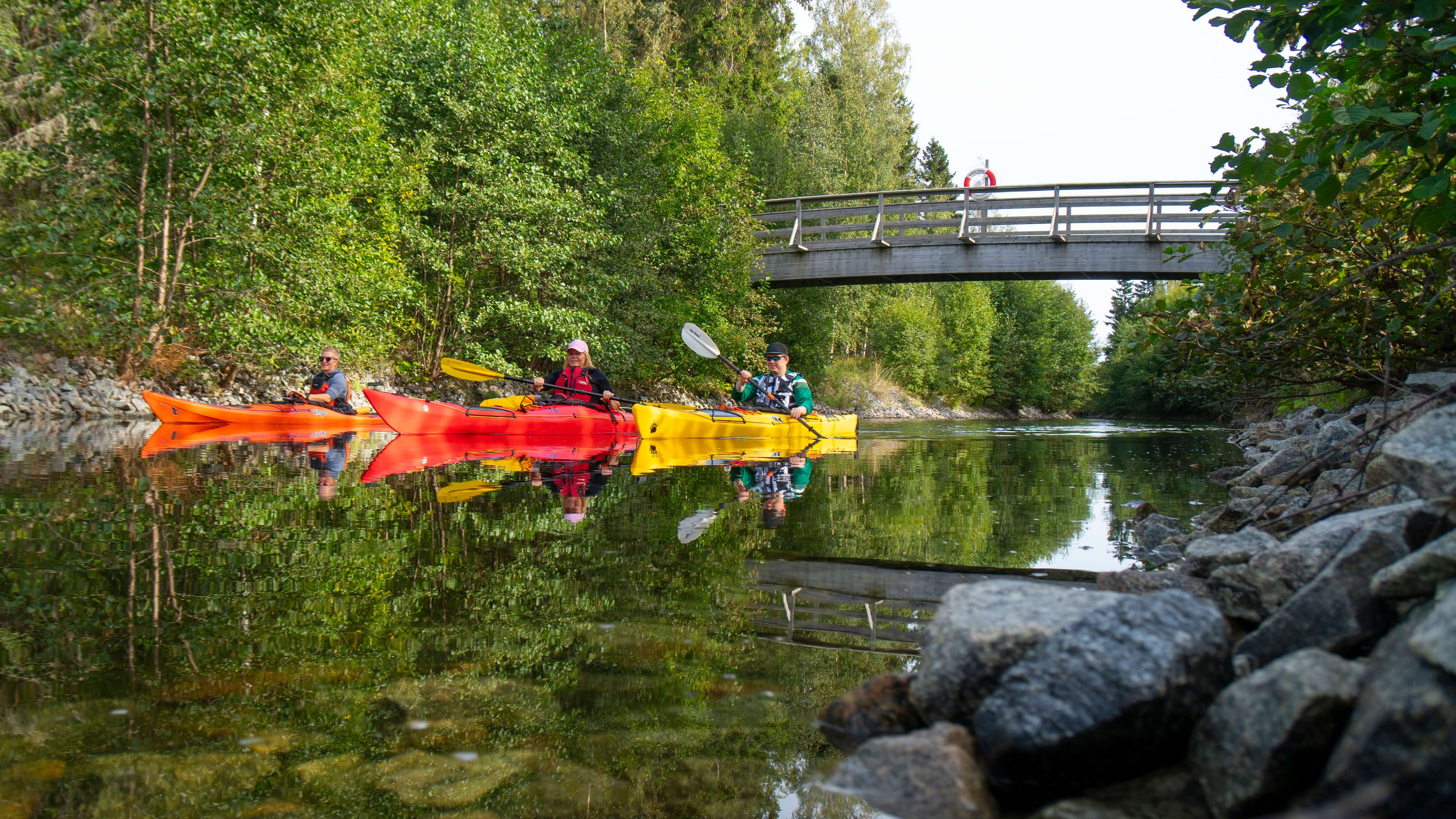 Sandarne-Skatön-Branthäll, Jungfrukusten