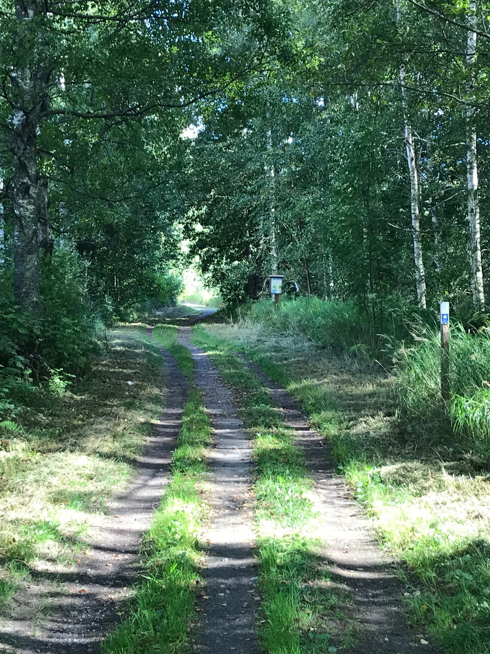 Leden går delvis på gammal körväg.