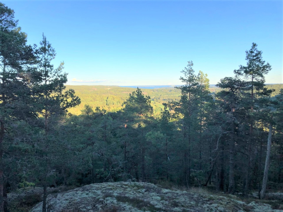 Utsikt från Borgareberget