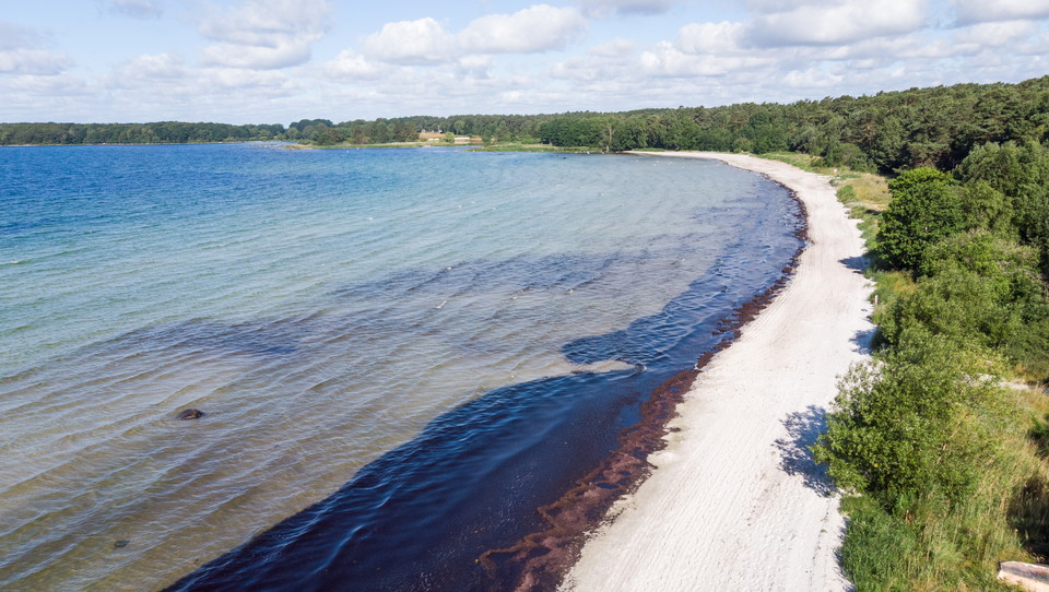 Flygfoto över Västra Torsö badplats