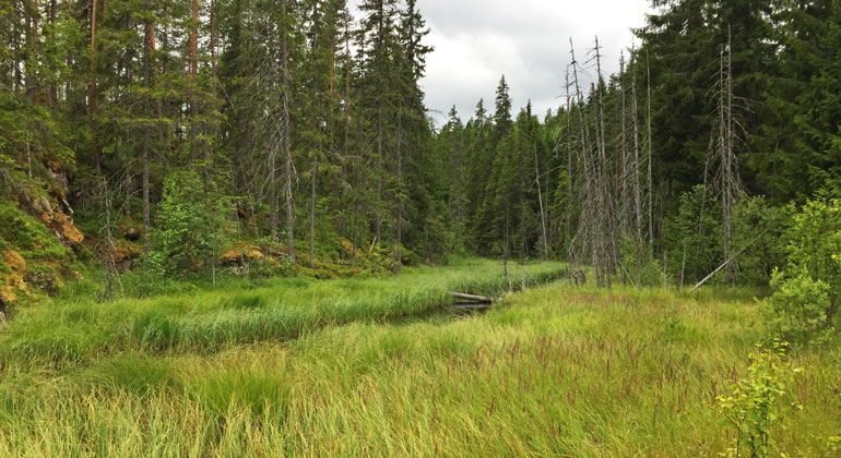 Länsstyrelsen dalarna