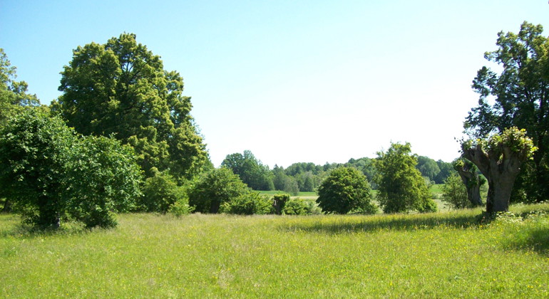 Hallstad ängar