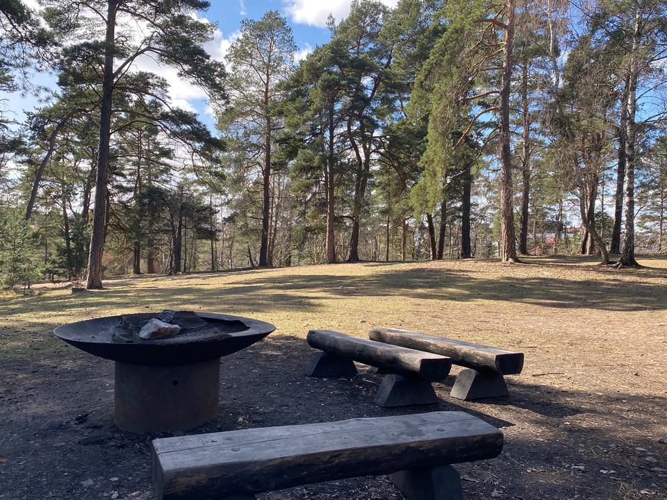 Närbild på en grillplats med tre sittbänkar i naturen.