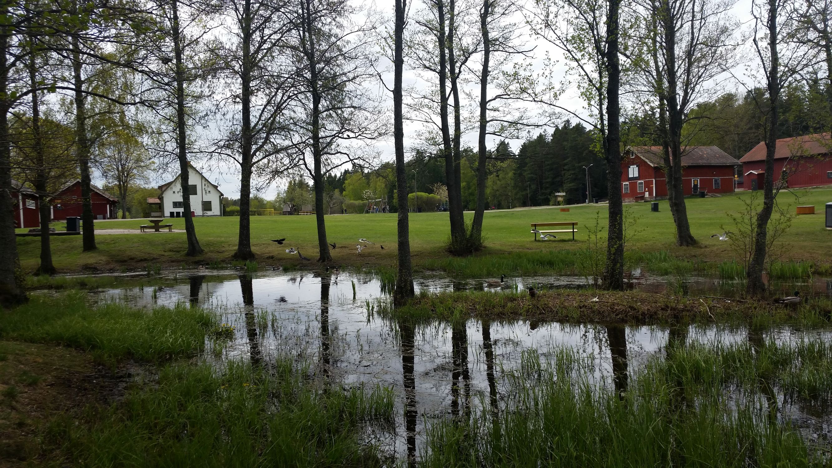 Rudans gård.