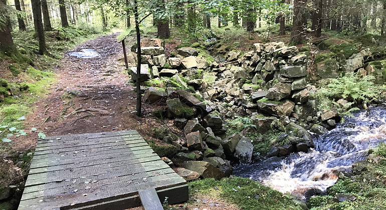 Ruin av en gammal skvaltkvarn.