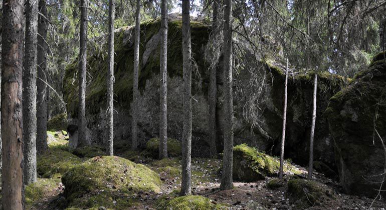 Stora flyttblock, Gällberget.