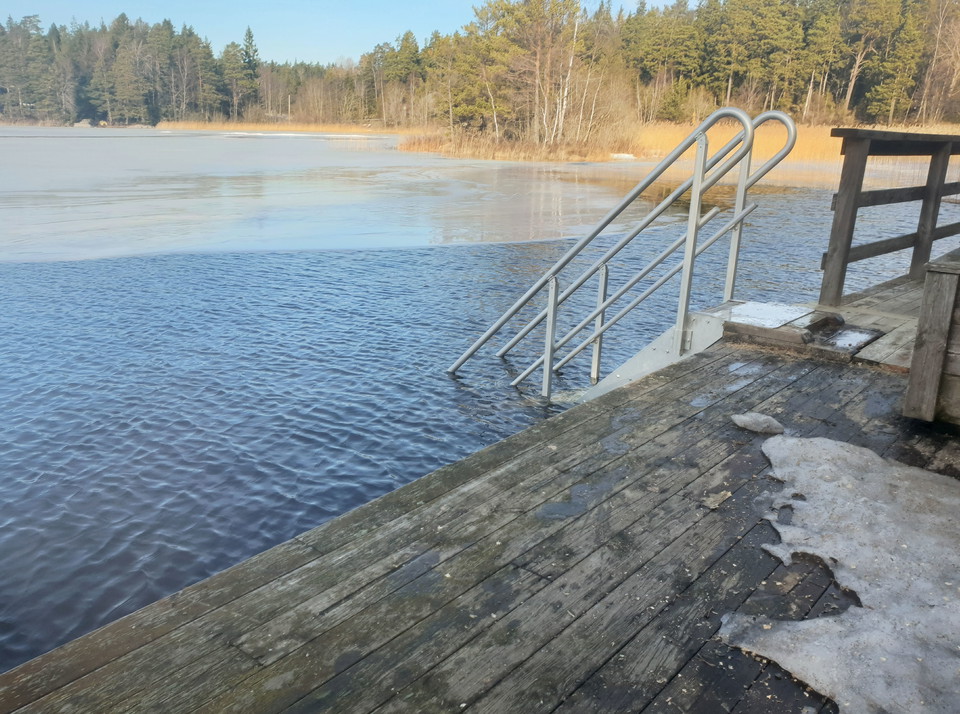  Vågar du ta ett vinterdopp? 