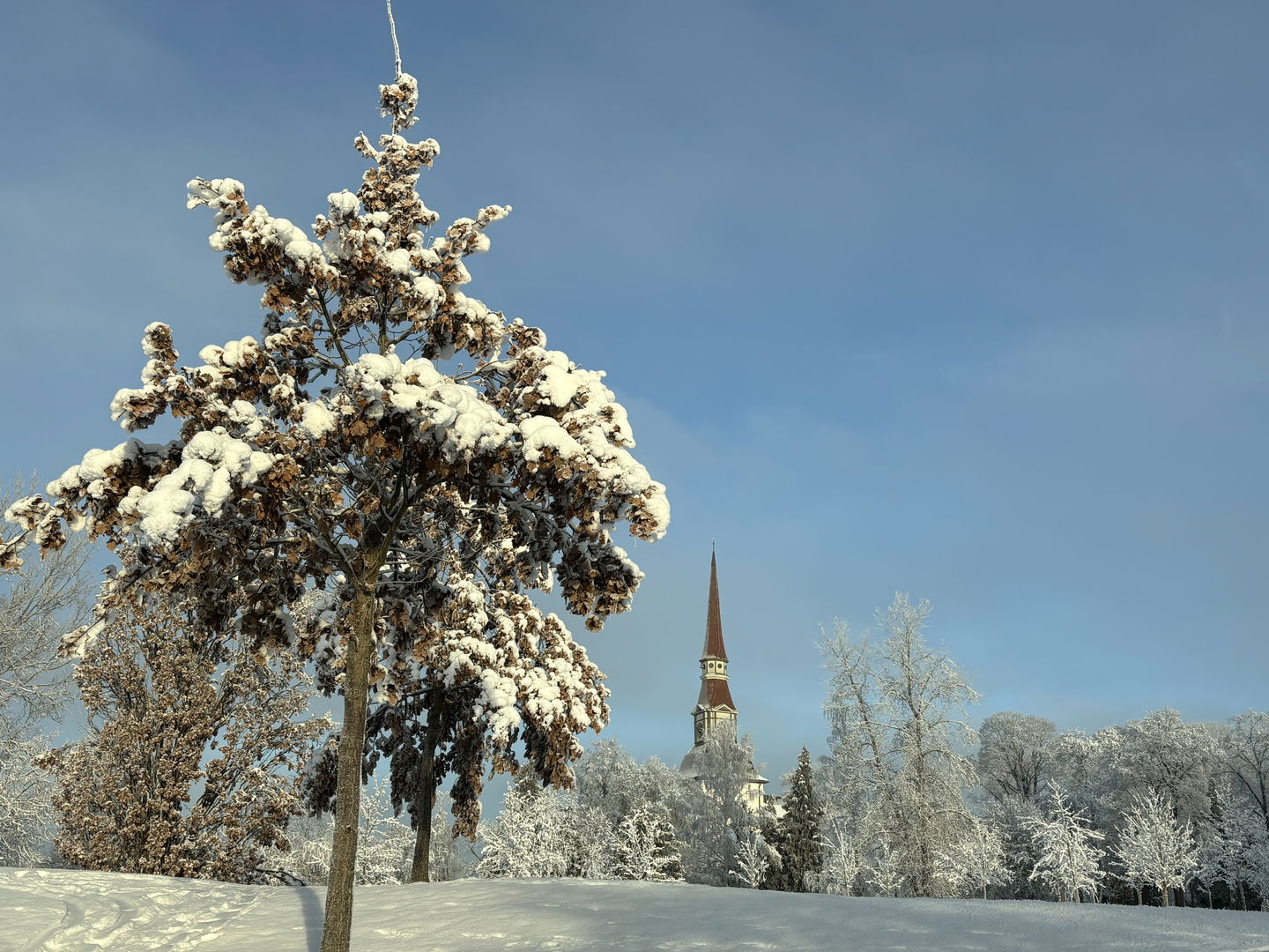 Vy mot Norrbärke Kyrka från Uddparken