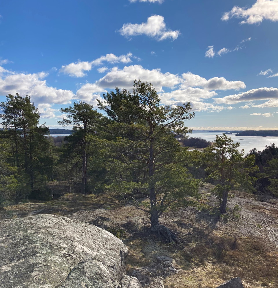Vy från Kasbergets topp. 