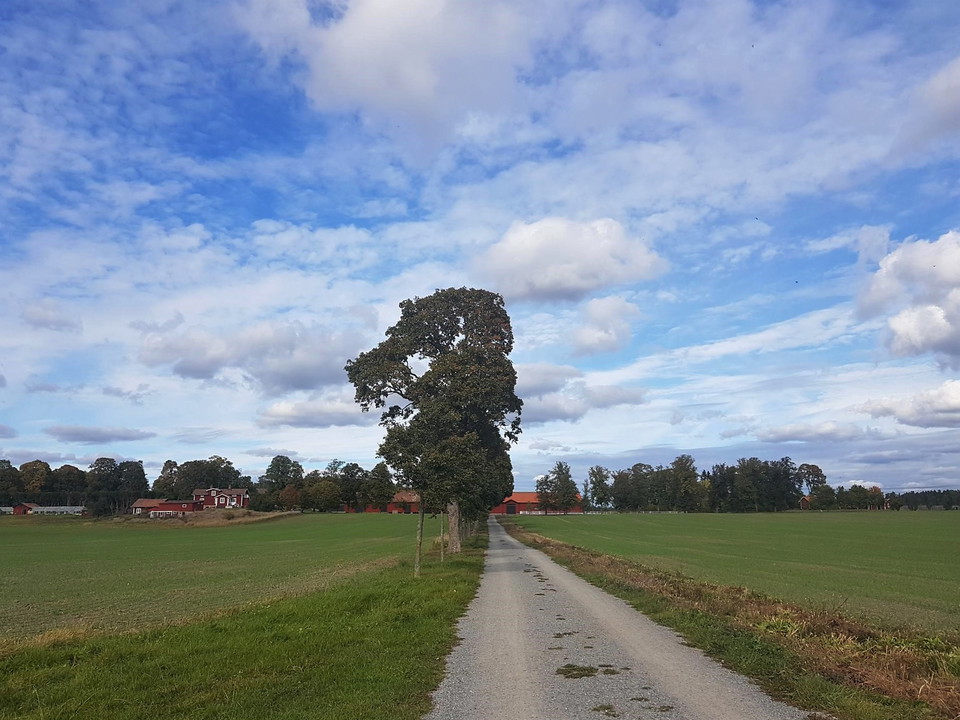Stråket från Edsån mot Antuna Gård.