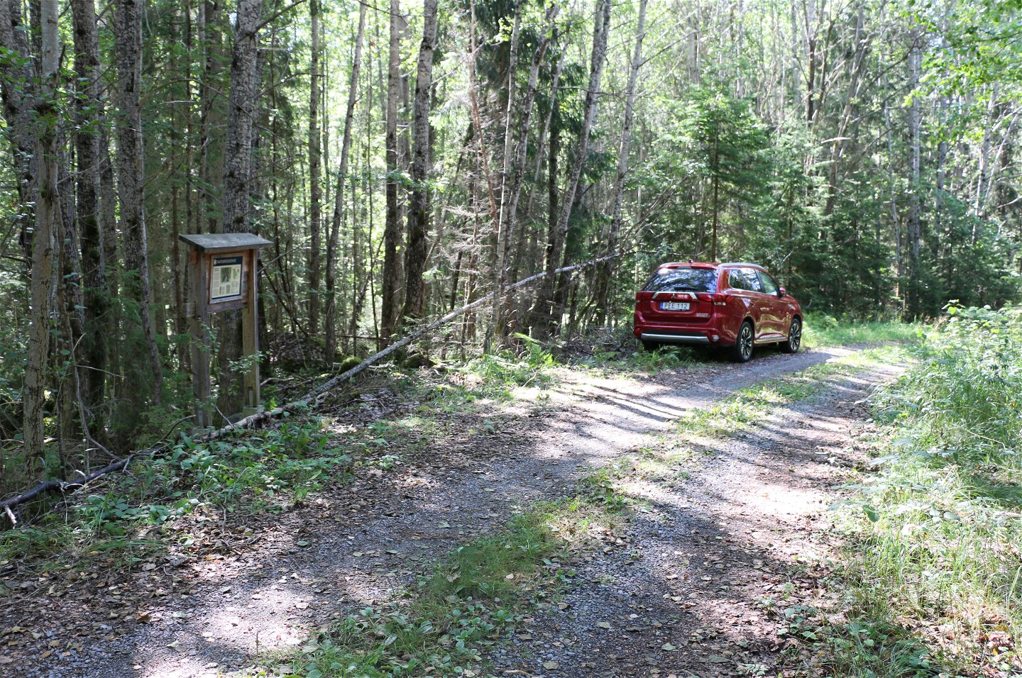 Bil parkerad längs skogsbilvägen.