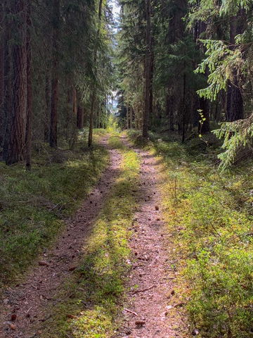 Blå leden. Amungen – Vindskydd. Svabensverk.