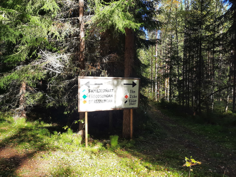 Följ de vita markeringarna för att komma rätt