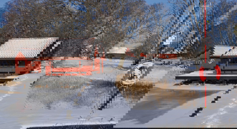 Vinter i Ängsö nationalpark.