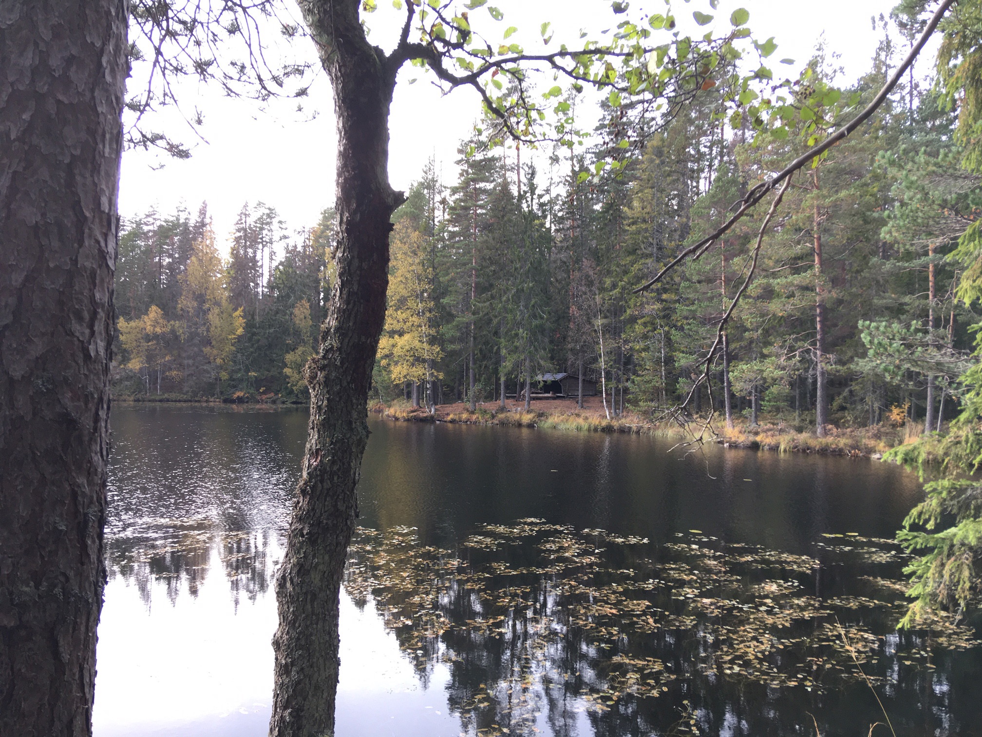 19 Kolpen – Örtjärnen|Bruksleden