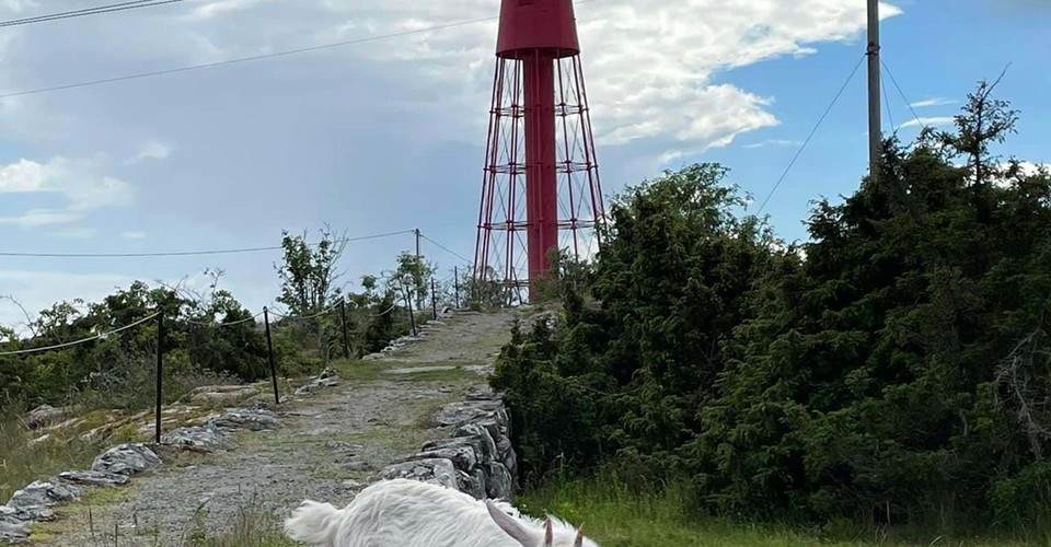 Häradskärs fyr
Etapp: Häradskär, Valdemarsvik