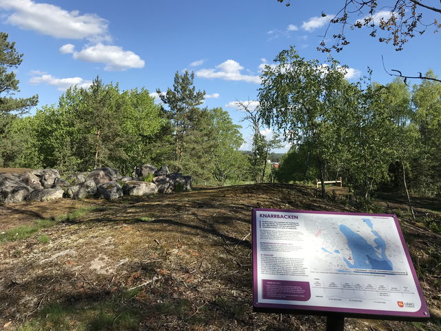 Viby friluftsområde