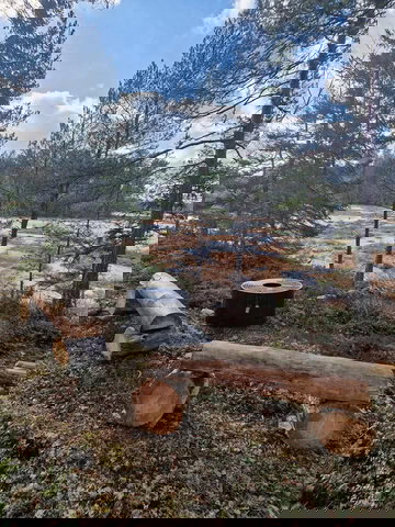 Grillplats, Stordammen runt