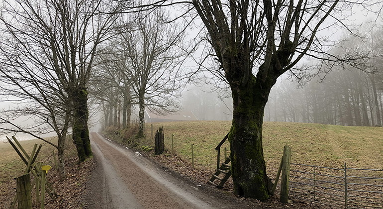 Ullstorpsslingan (4,6 km, gul).