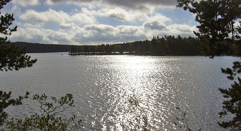 Örvattnet, Naturreservat